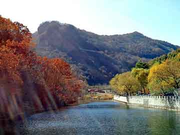 天天彩好彩天天免费，永和seo公司